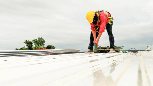 Best Roof Maintenance and Cleaning  in Selinsgrove, PA